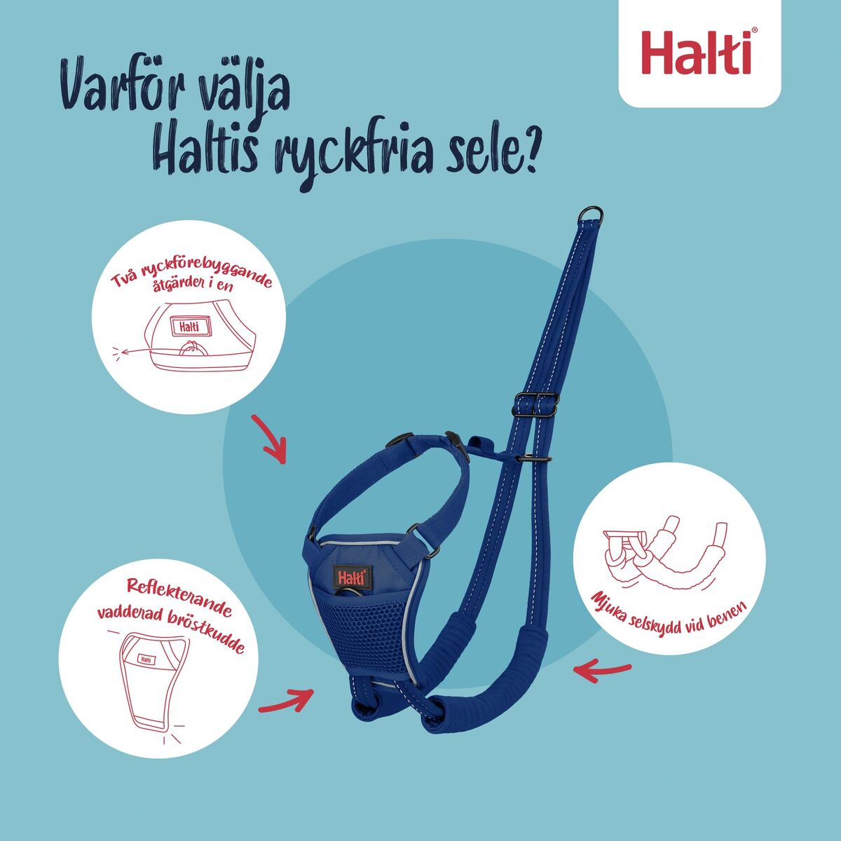 V2H63E6B04740E755A4F167D7C8B07217BDR7523511P3