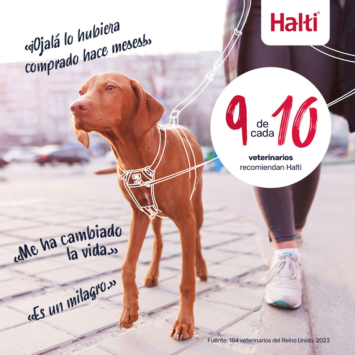 V2HFB37331ECEC76D2C023FC2A1528C91DDR7523719P6