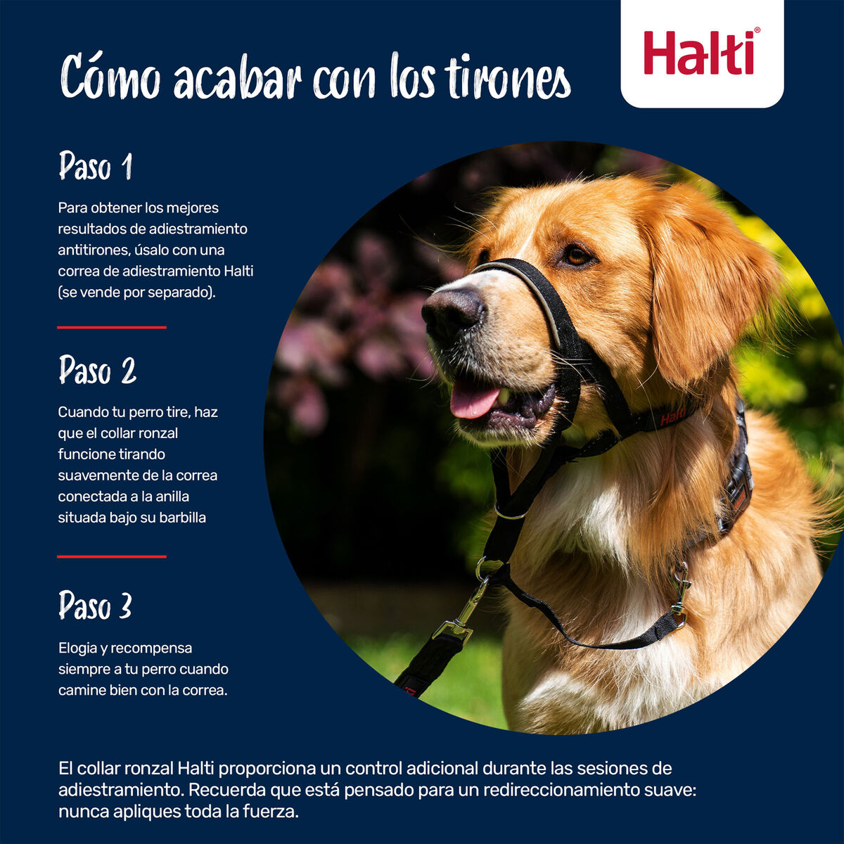 V2HD455C701C401994E98D863A50752BB00R7523919P3