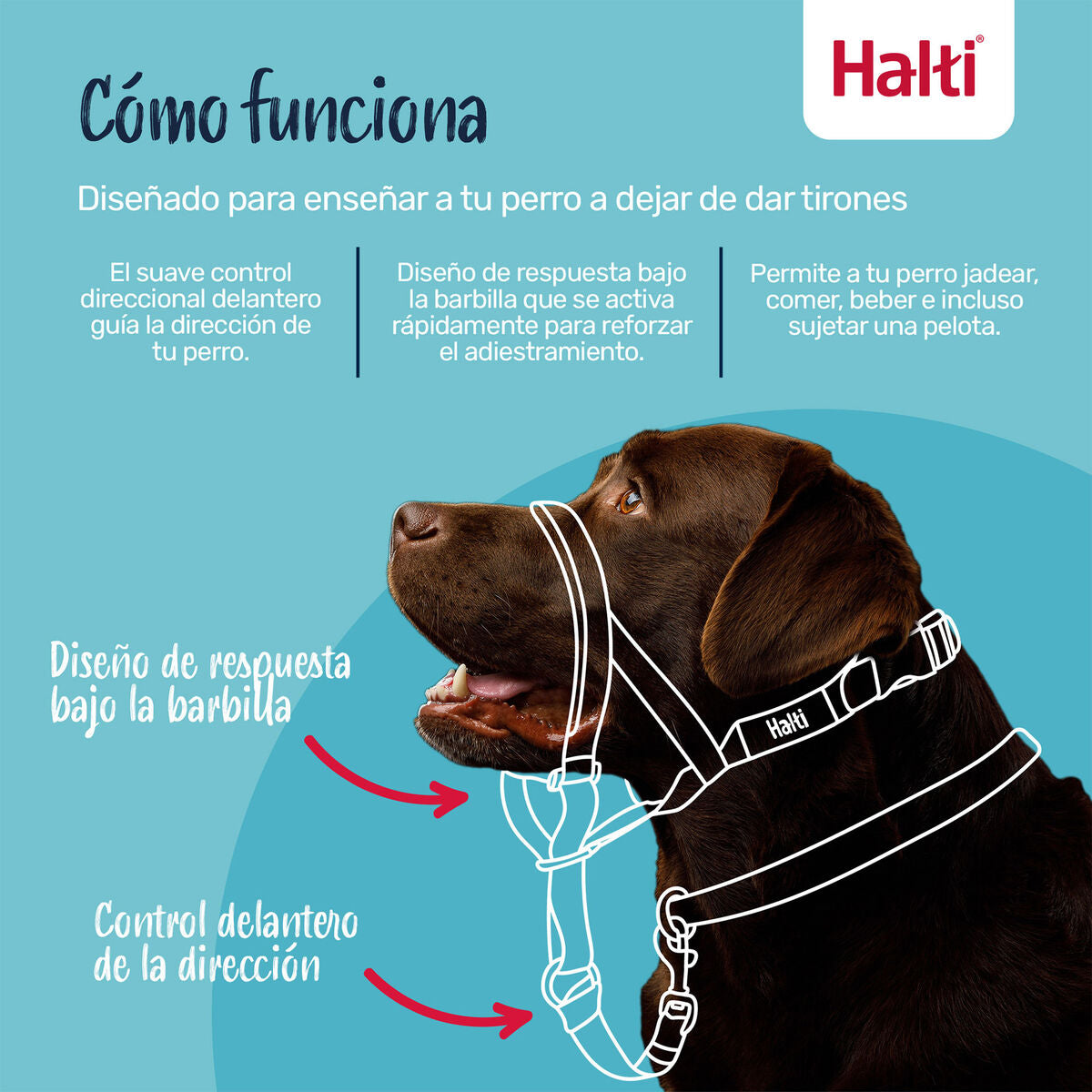 V2H11BDD0556AAC8F825C66DBFAB98B8A52R7523873P9