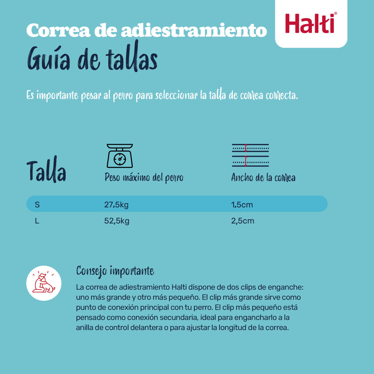 V2HDF498C3554198DFC5E5355C4E3C28977R7522932P9