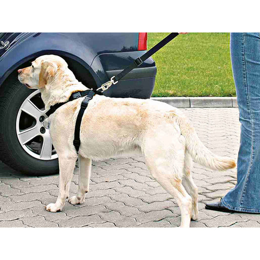 V6H8D8EAFB1807803036216FAE6508B5C5AR7459721P2