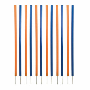 V3H0E1D33632766FA60CE1E5A698BCAF1E9R5763181P1