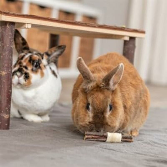 V6HC5063DB3A7E0F5BD938DB77AF22CCB0CR5448869P2