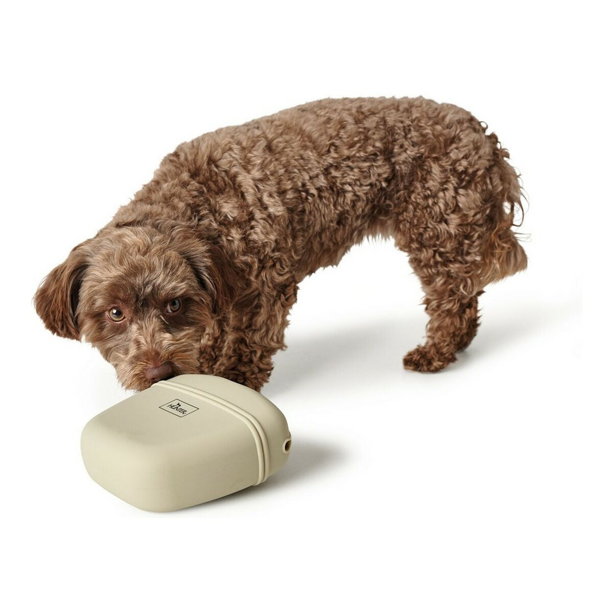 V9H9B2372A6601D60D6D63853F31A559EB5R5597718P3