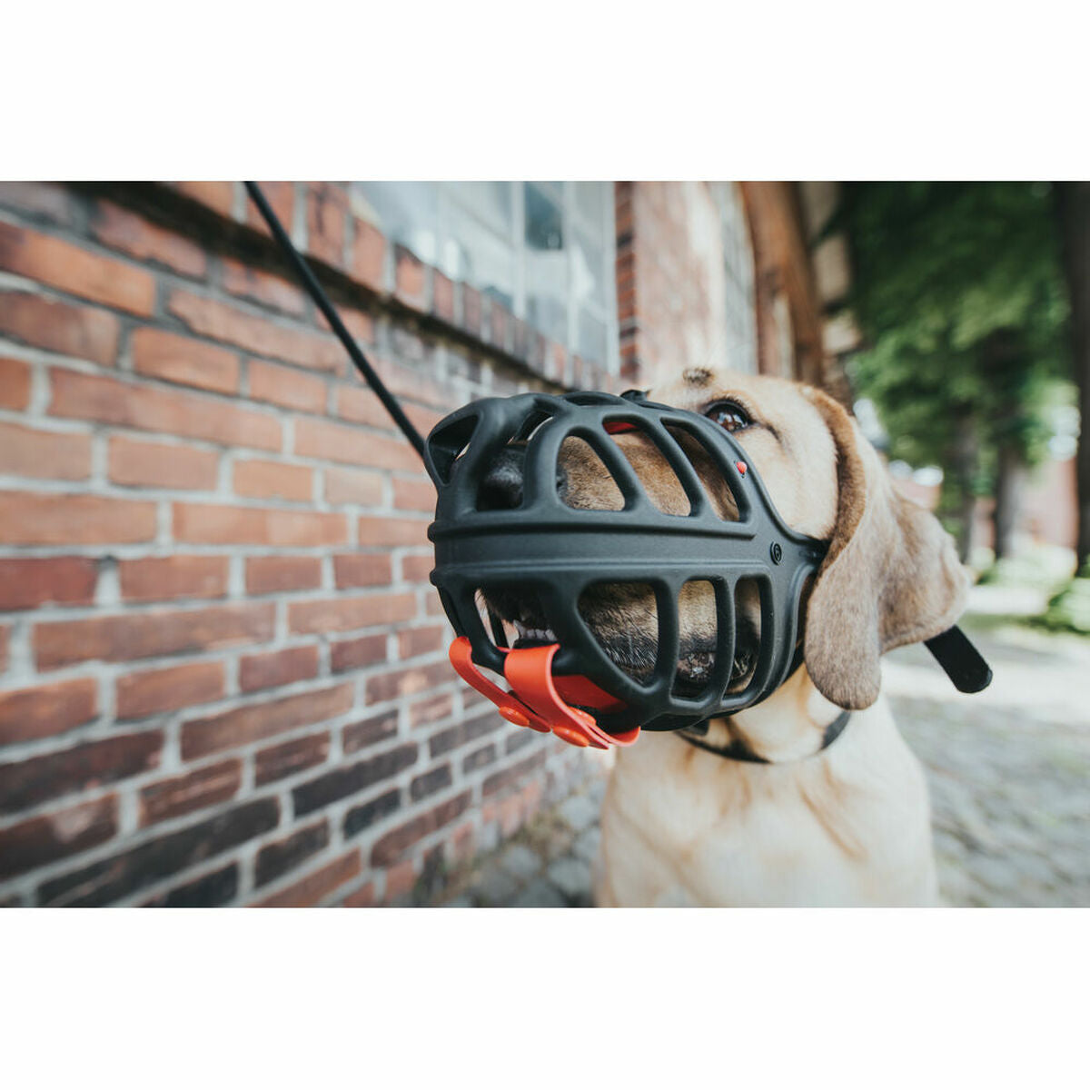 V8H8AB3354EEBF50964B6CFB451C2FBA561R4389384P3