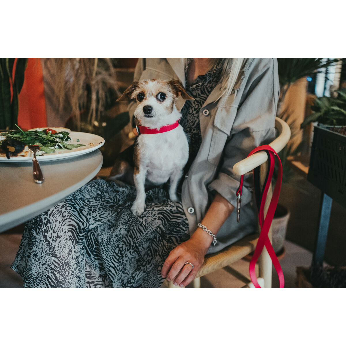 V7H2C55909309DBD7FA7F3383DAD4B5F7FFR3622791P4