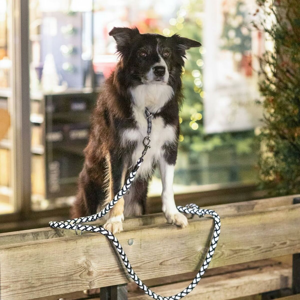 V5H4669309BE9667ECF2675FB29C42F32DDR5329950P4