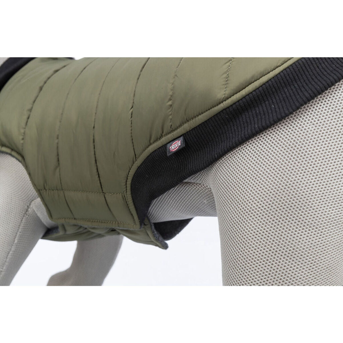 V6HBBC40B64A5183727F4AD4EDE2598D807R7451608P7