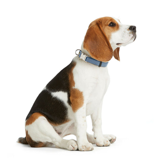 V4H58DB52759916AE03647876A6130F1AE7R5582614P2