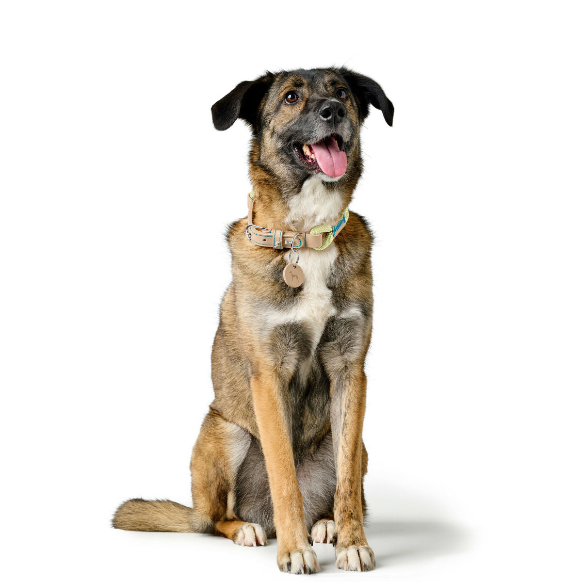 V3H12F63D6A6630A555DADC4B81D6AB78C5R5575513P6