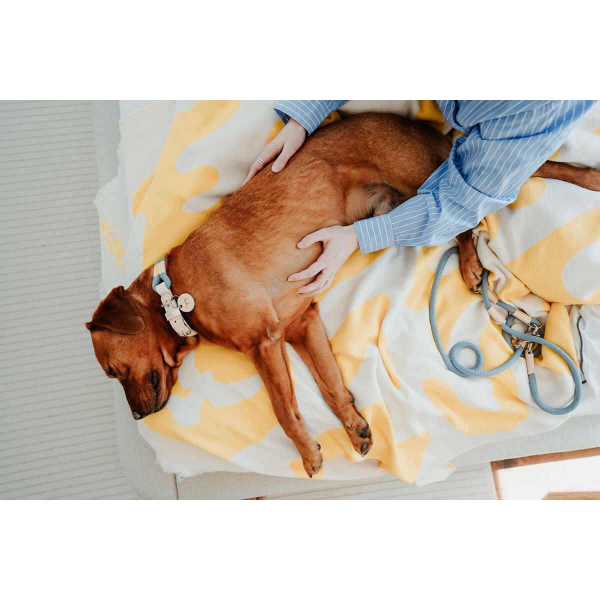 V3H236CD495C55CDD4FEA907415F9150D08R5575436P6