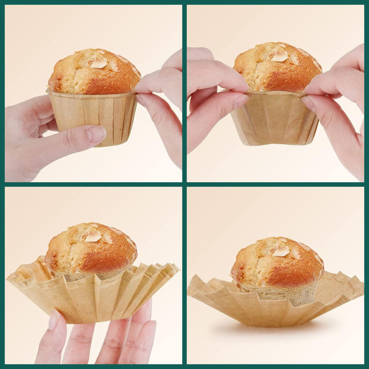 V3H633871607407C2FCD5B4F08A18558033R5666971P6