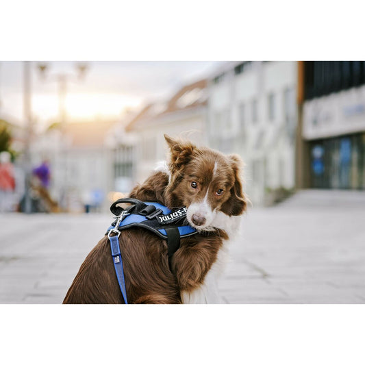 V4H67A50FFDD1436D7BB5701F75B5657F49R5592573P2