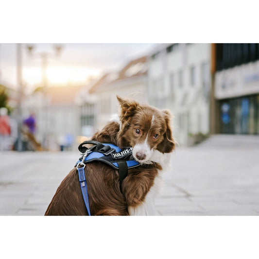 V6HBBD81D308D21147CD584823E5C7BA786R5333052P2