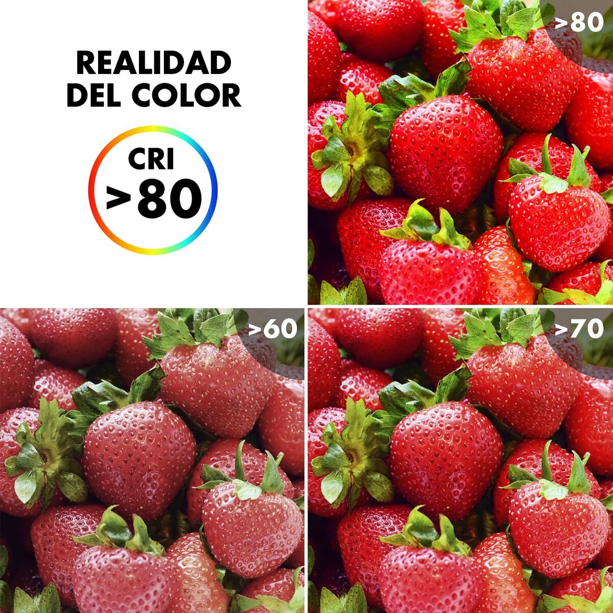 V4H86BE603B5E0BCDA0BE6602A79EB19FC2R4783928P4