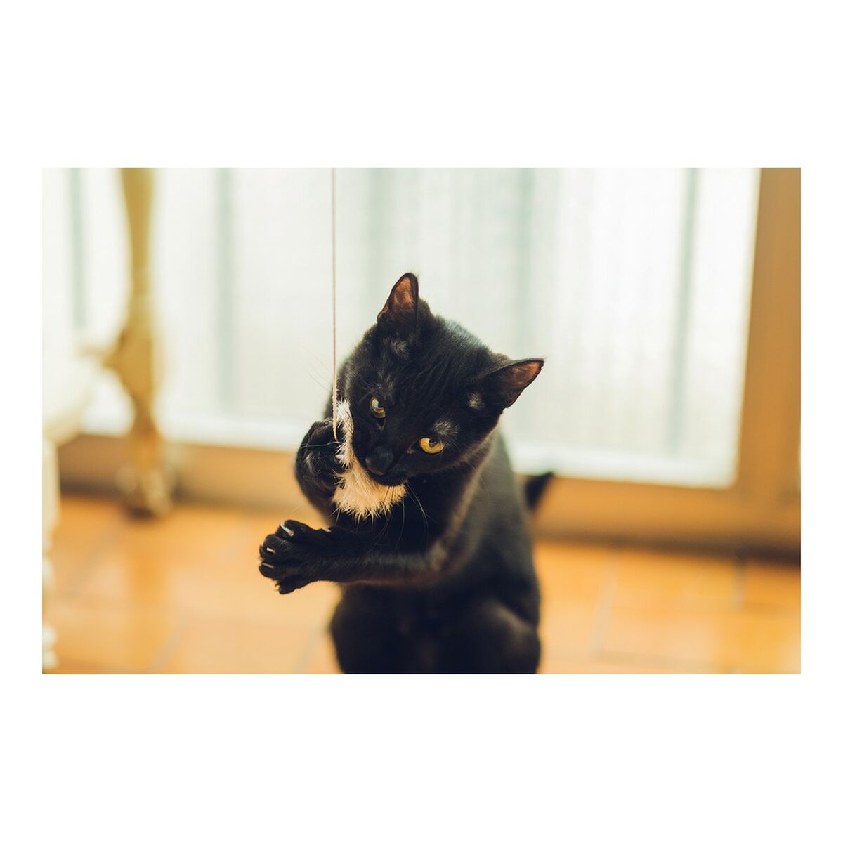 V11H850F2D8185D6DA8A04A450D6A11145A8R4263188P3