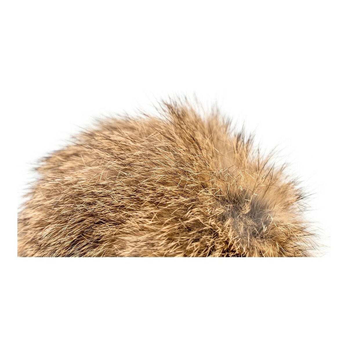 V10HB7112E8F9387F2303E57DC7D1443ED06R4263210P5