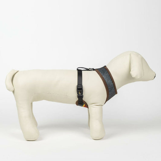 V6H7634CFBE7BDC53E7A4EA2362BC33845AR6466571P2