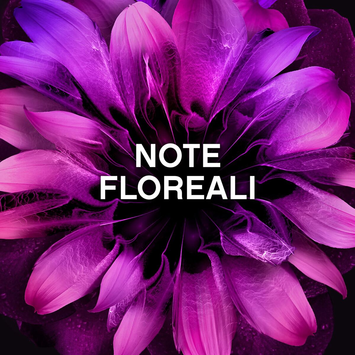 V5H5D49B953B68846E2A6C999BAD9144EA3R7427434P2