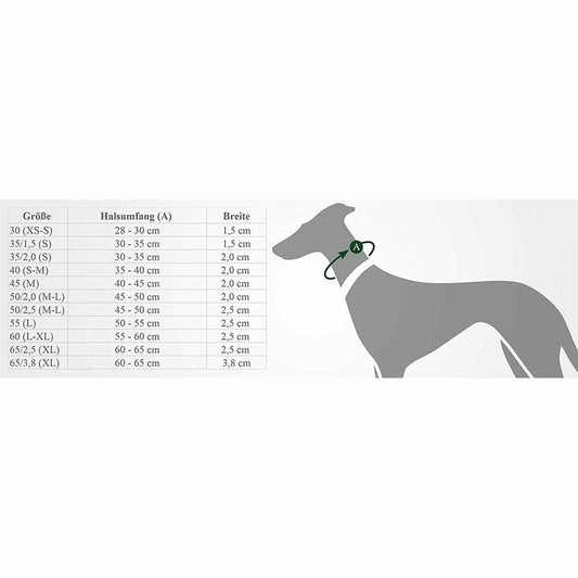 V9HABD9AD281D20FC527E92F2239F66E45AR4989219P2