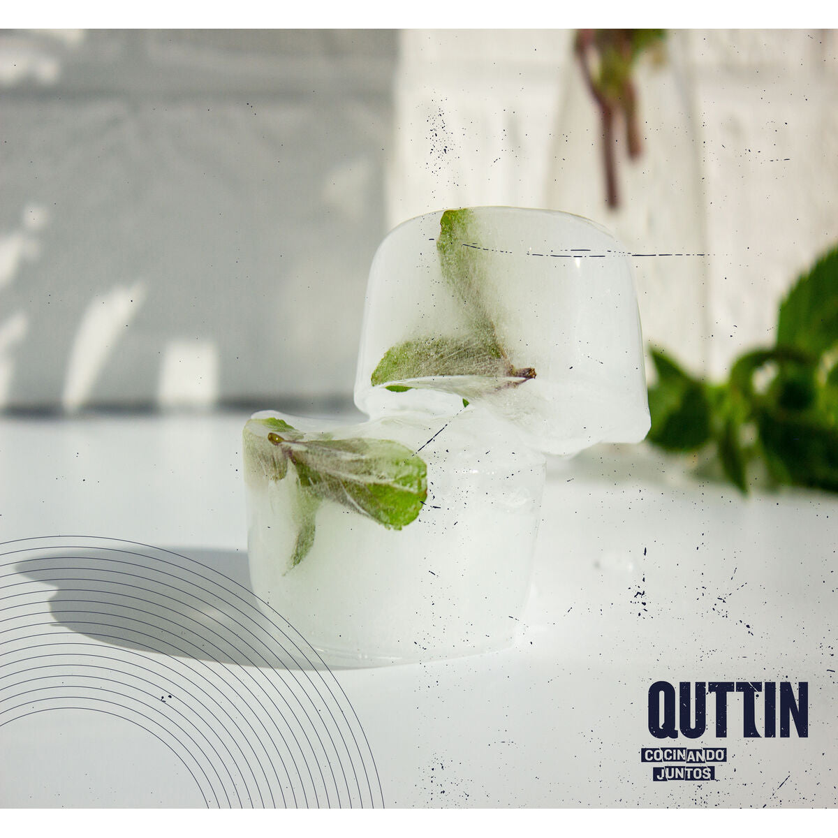 V4H578C24B8777E28C0A6E7EF55C99ABCCCR5641133P5