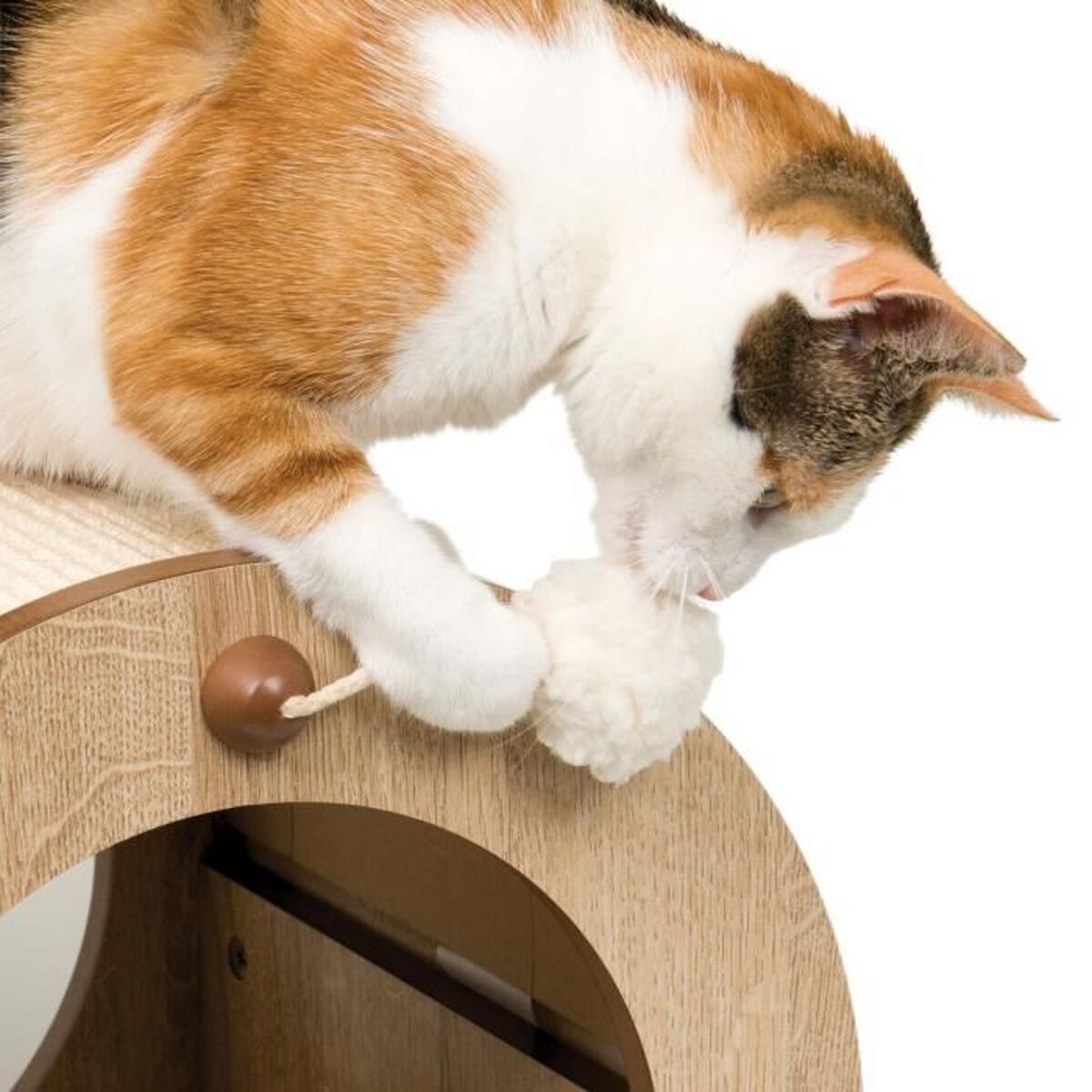 V2H0823641FE84150D39F0F1C818C58B577R7469580P5