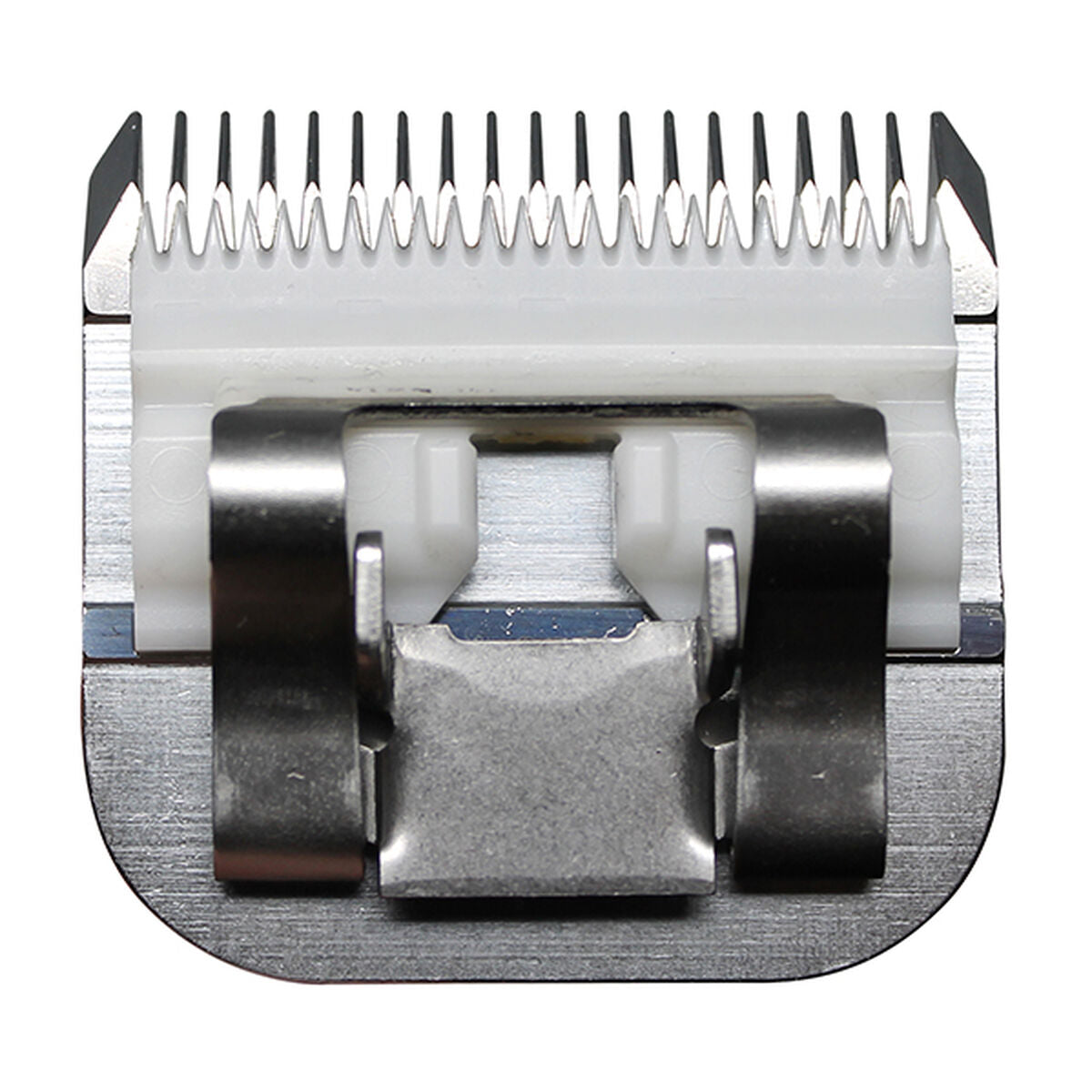 V3H985E39FD4A925E3F70EFCE20C04FC399R5554761P4