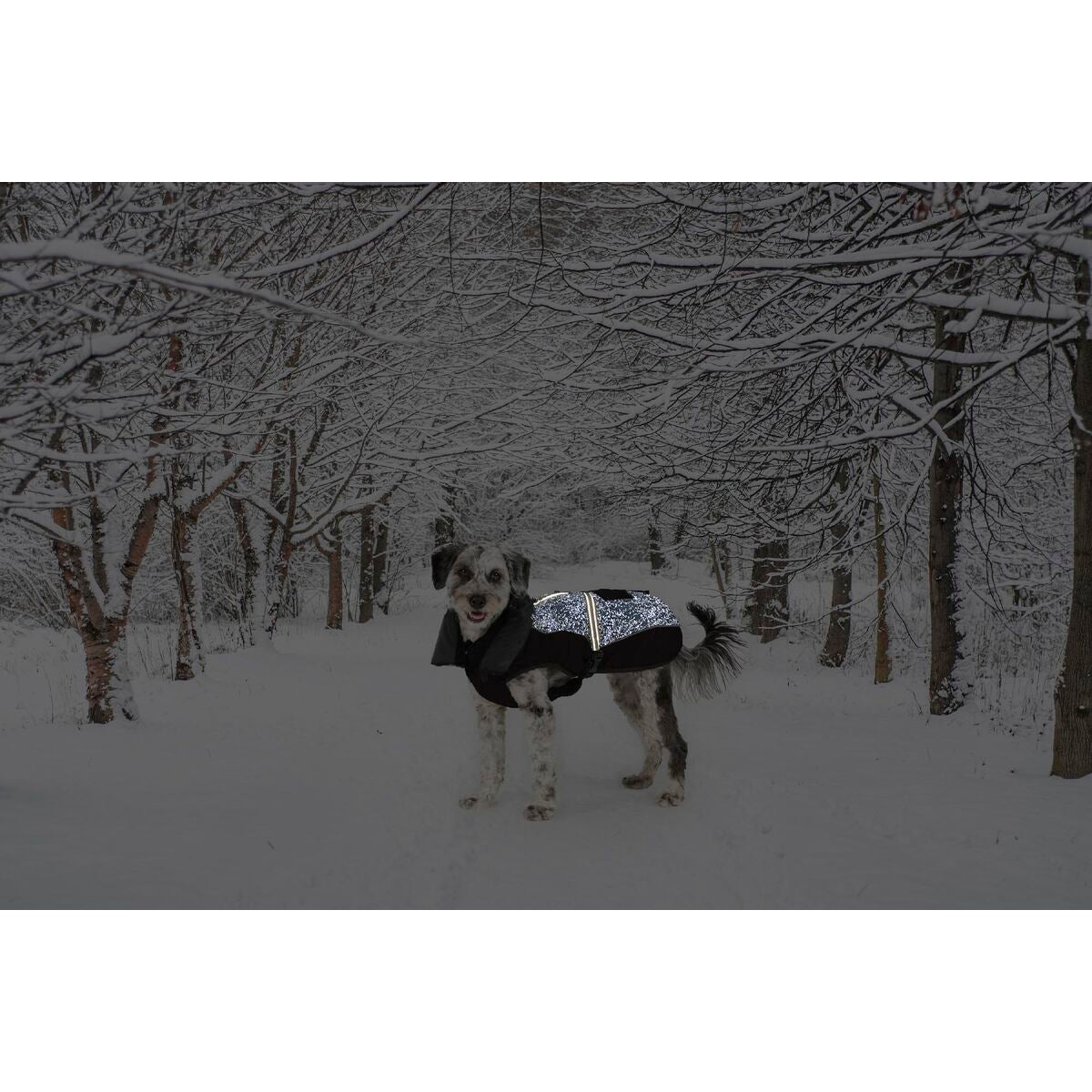 V5H277C3DBE87E9D463995E7B277F270817R5332432P2