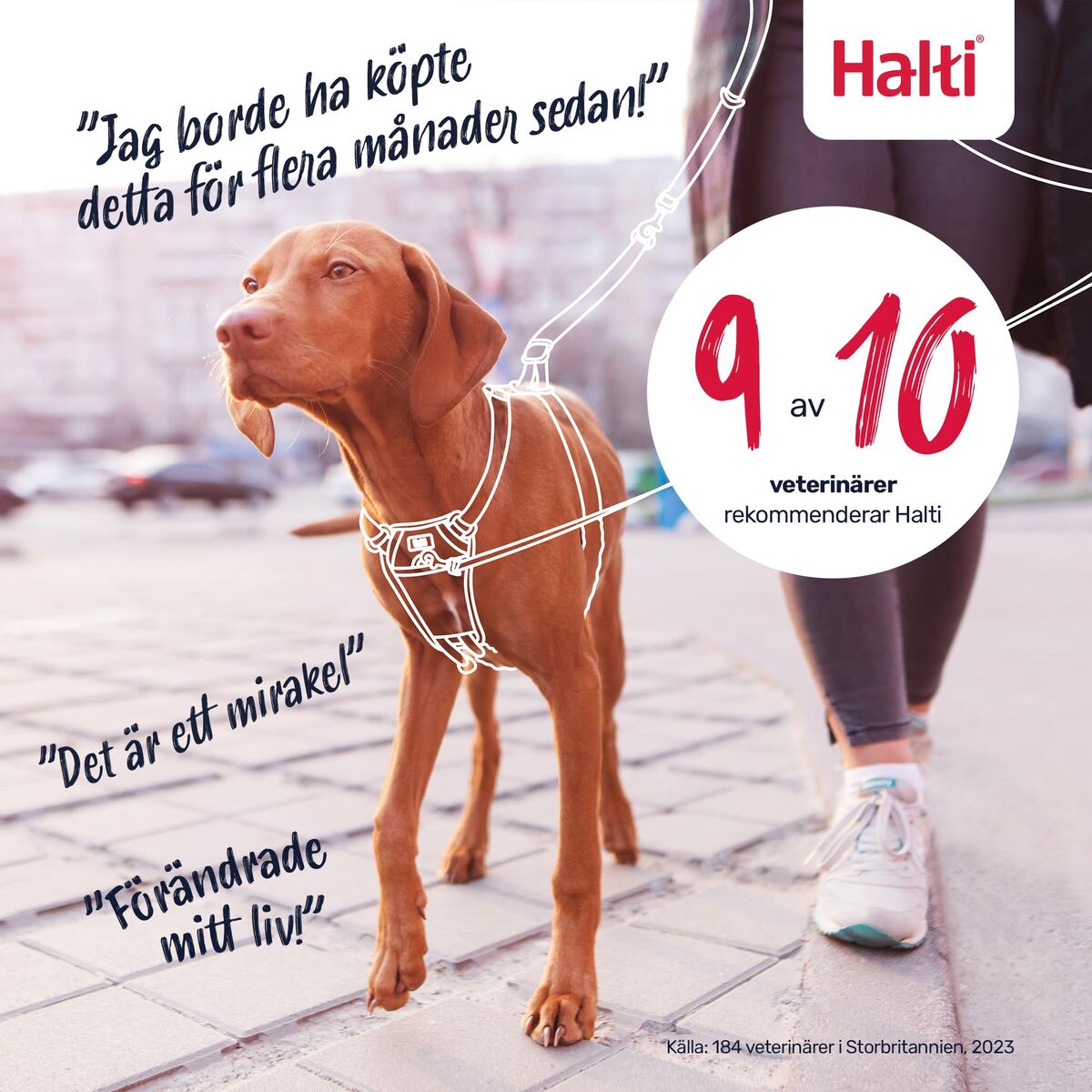 V2HC7934D97F1F93E96862C8E1205E24865R7523807P6