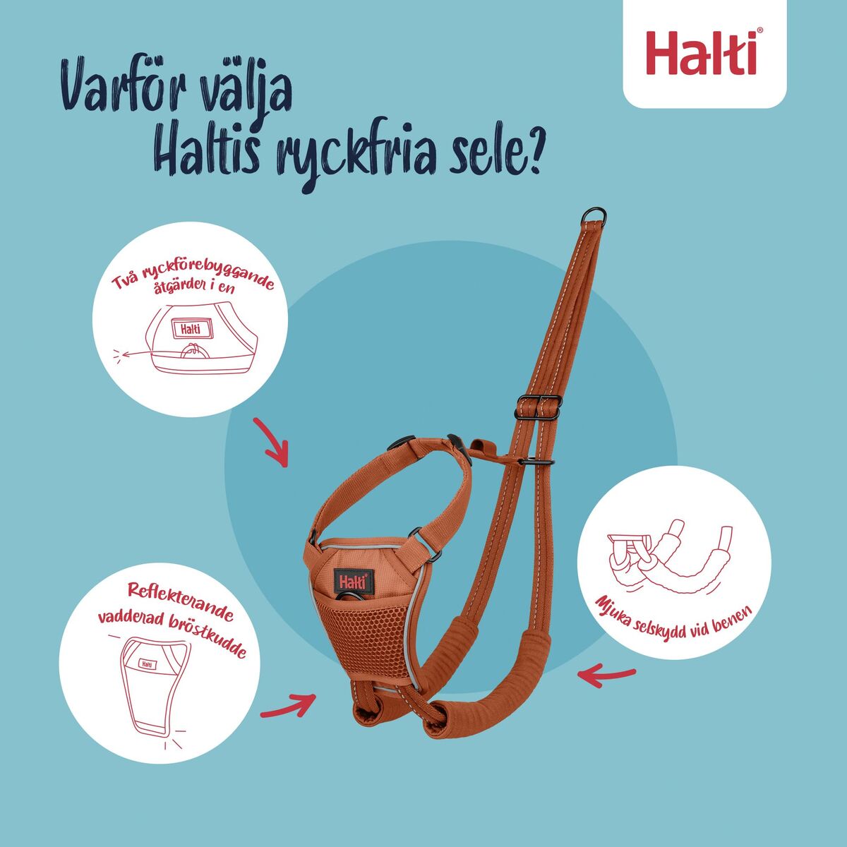 V2H047ED1ADE9B9C99FB065785AAD4A8EB2R7523722P9