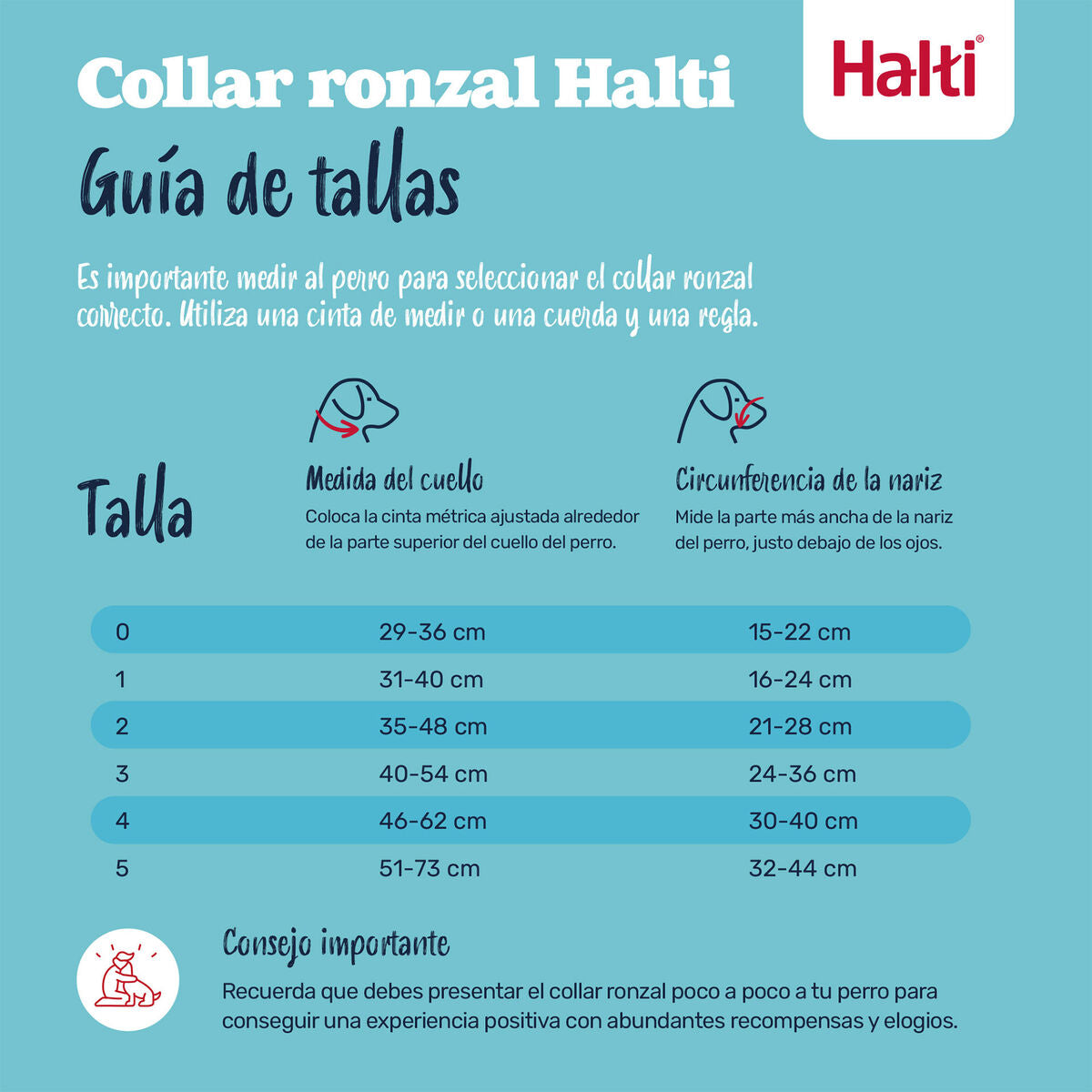 V2H2087E832B24664682EDDEA587A1A44B8R7523917P2