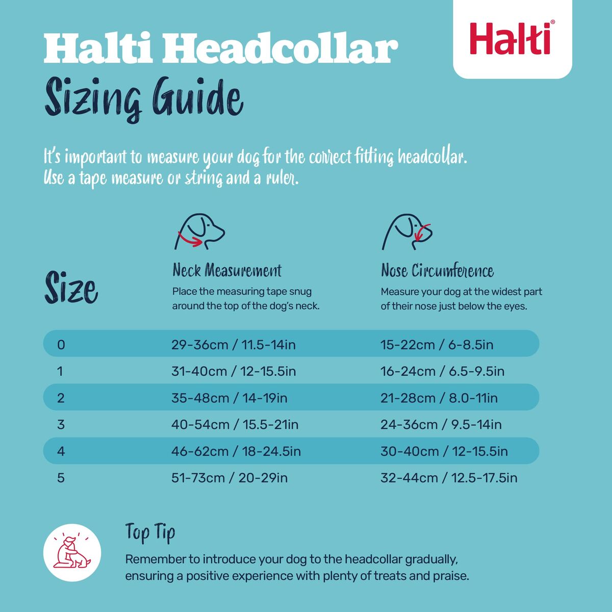 V2H2947E43369A7A45726B8ED5A3D5C91BFR7523874P5