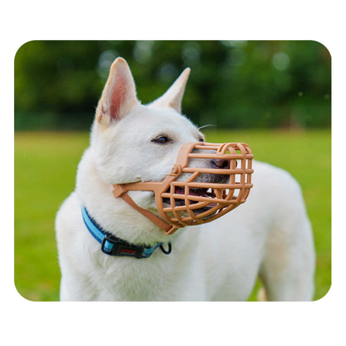 V4H81D032E942BBD17B9E9B79C0A7EC18BDR5327556P3