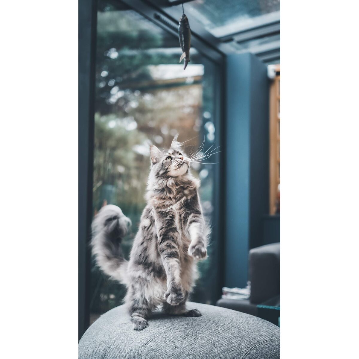 V2HA51003D696C8E1799C28545394E6337ER7436897P8