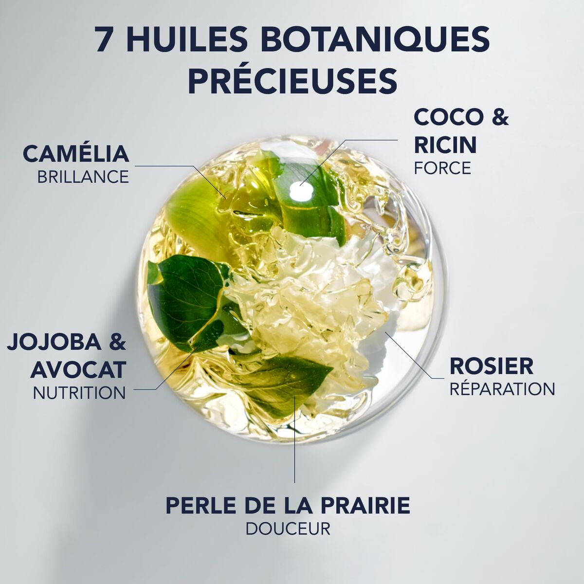 V3H6B06F1291E3429A1819E9EAF0AEF3FC5R7355766P3