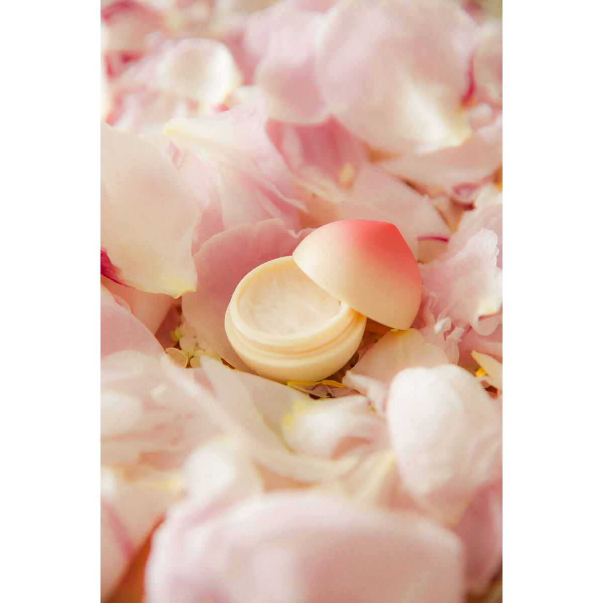 V5H8E4FCFDAB2FE51397F3C85D04D6D8782R4975610P3