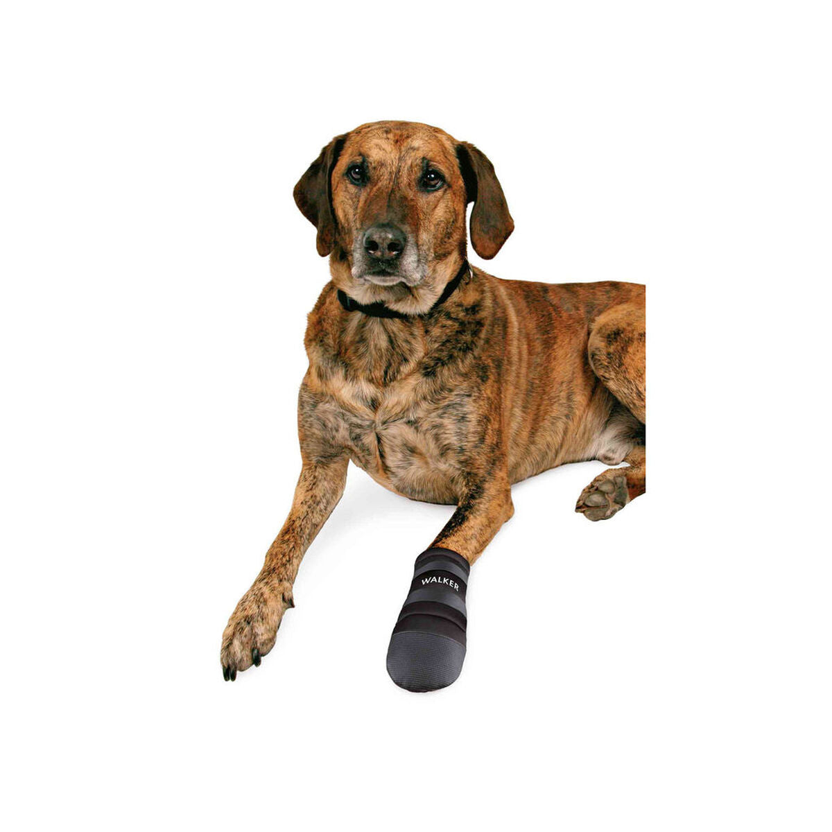 V3H75D38426DF9115C146225EF321791245R7440643P3