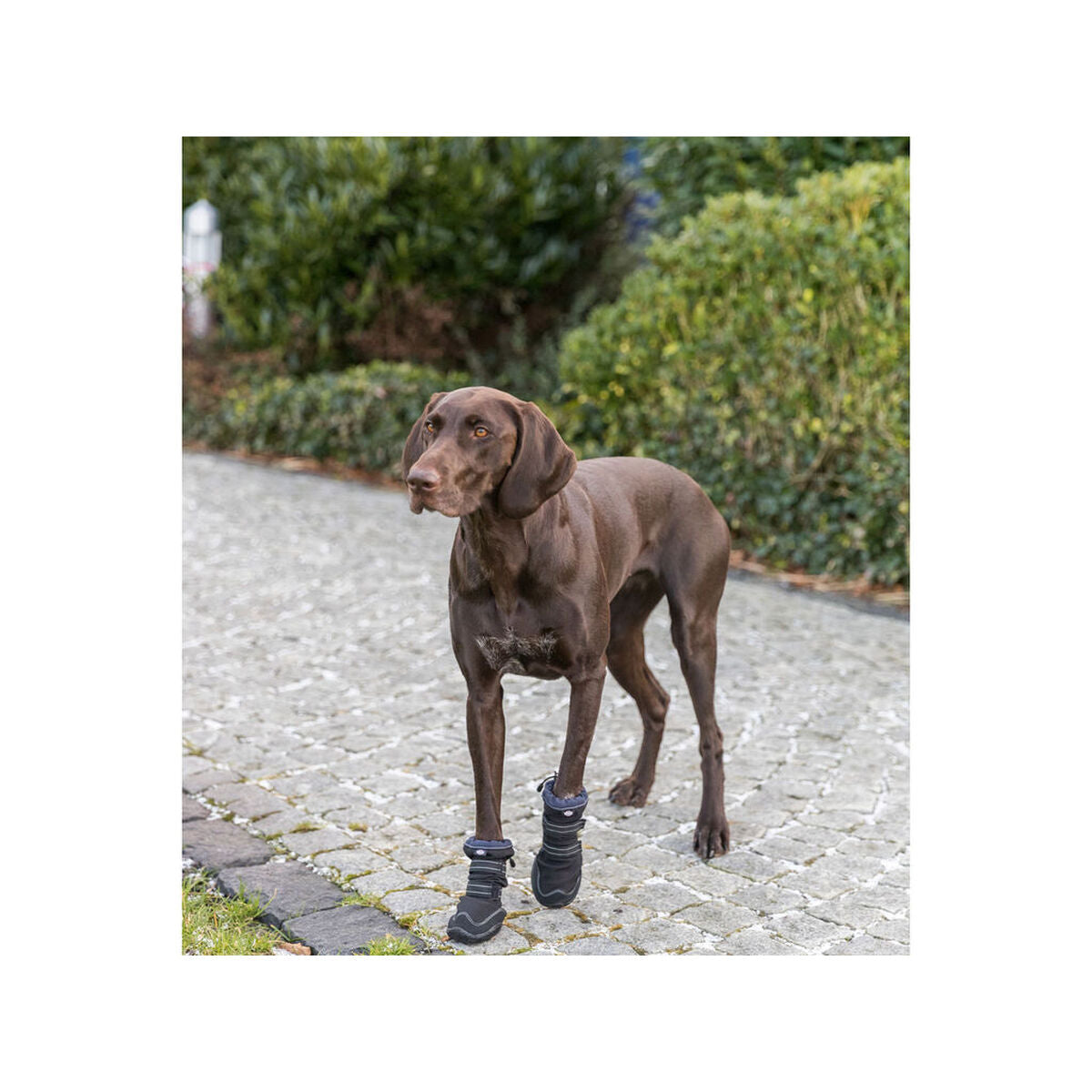 V3HDC9878BEF2AF792BEED31A091D687579R7446945P7