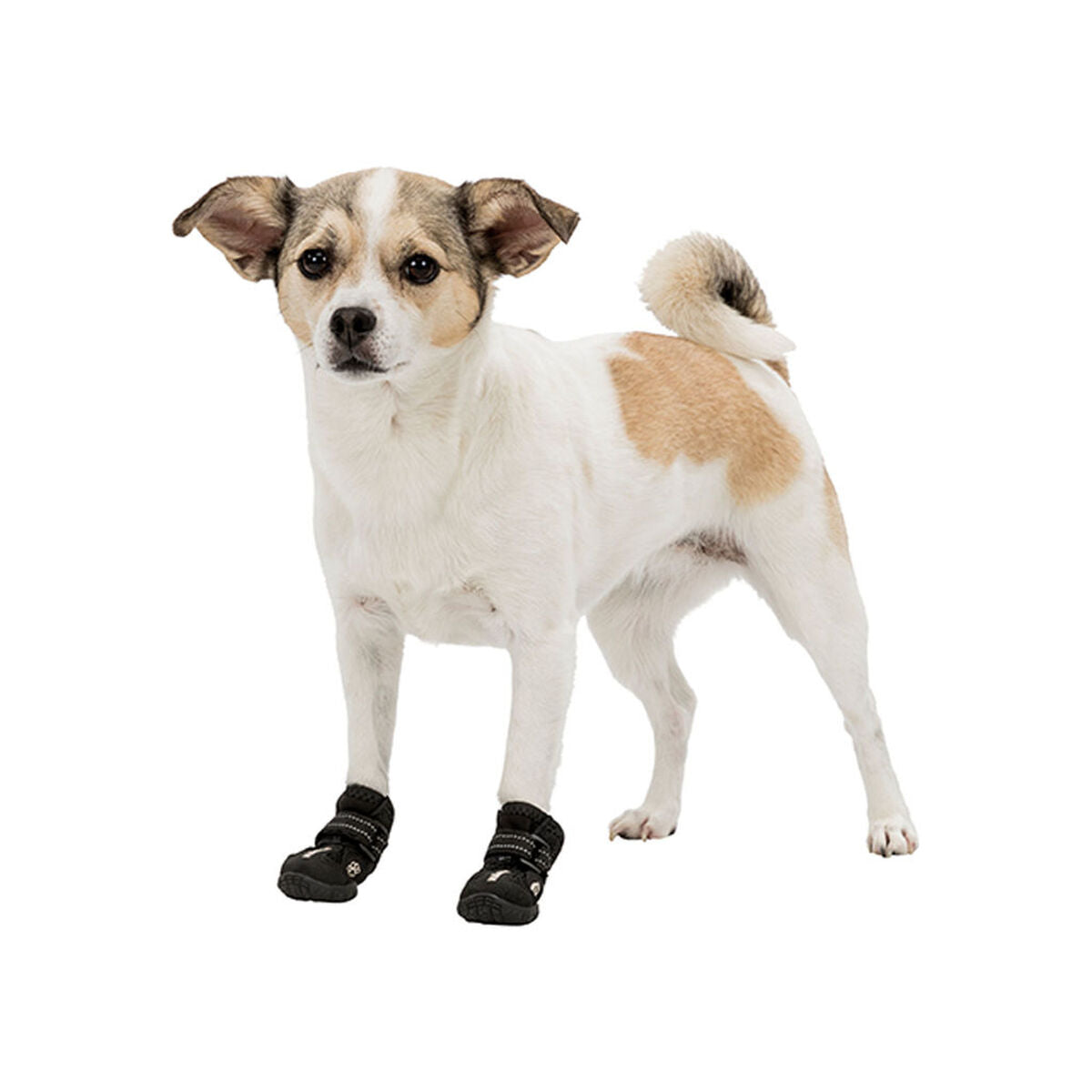 V5HF718C0B65B04EDFCA69EA4D21149F04ER7439805P5