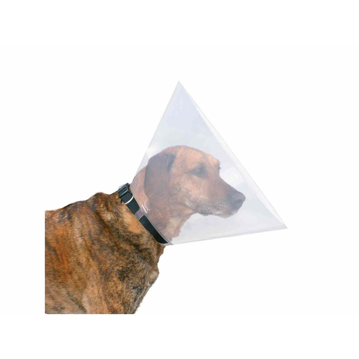 V5HDD219A04C33484F589D65088D6724B4BR7440559P3