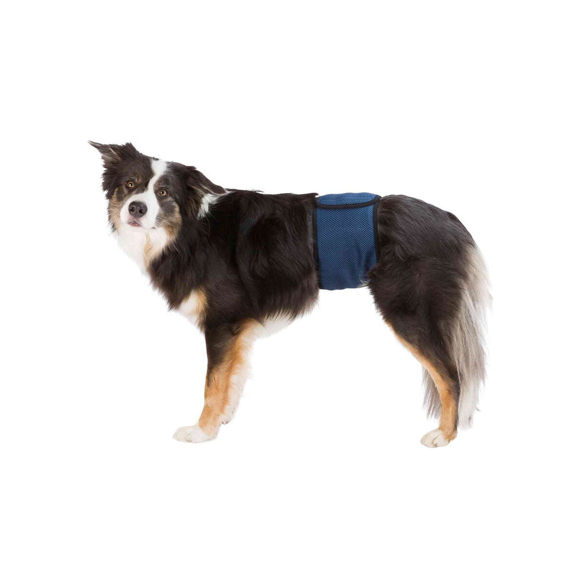 V5H98234137A69E1FD12657056C8FEC0CEBR7444027P1