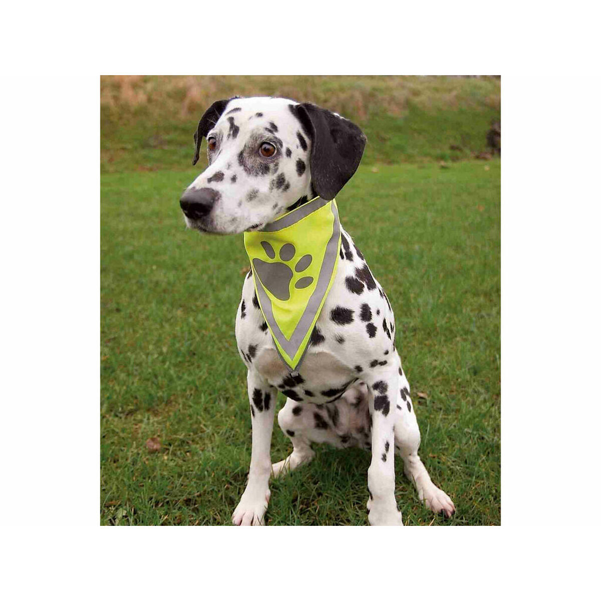 V4H3EA4740565B3F40D2110249847CDA683R7440226P3