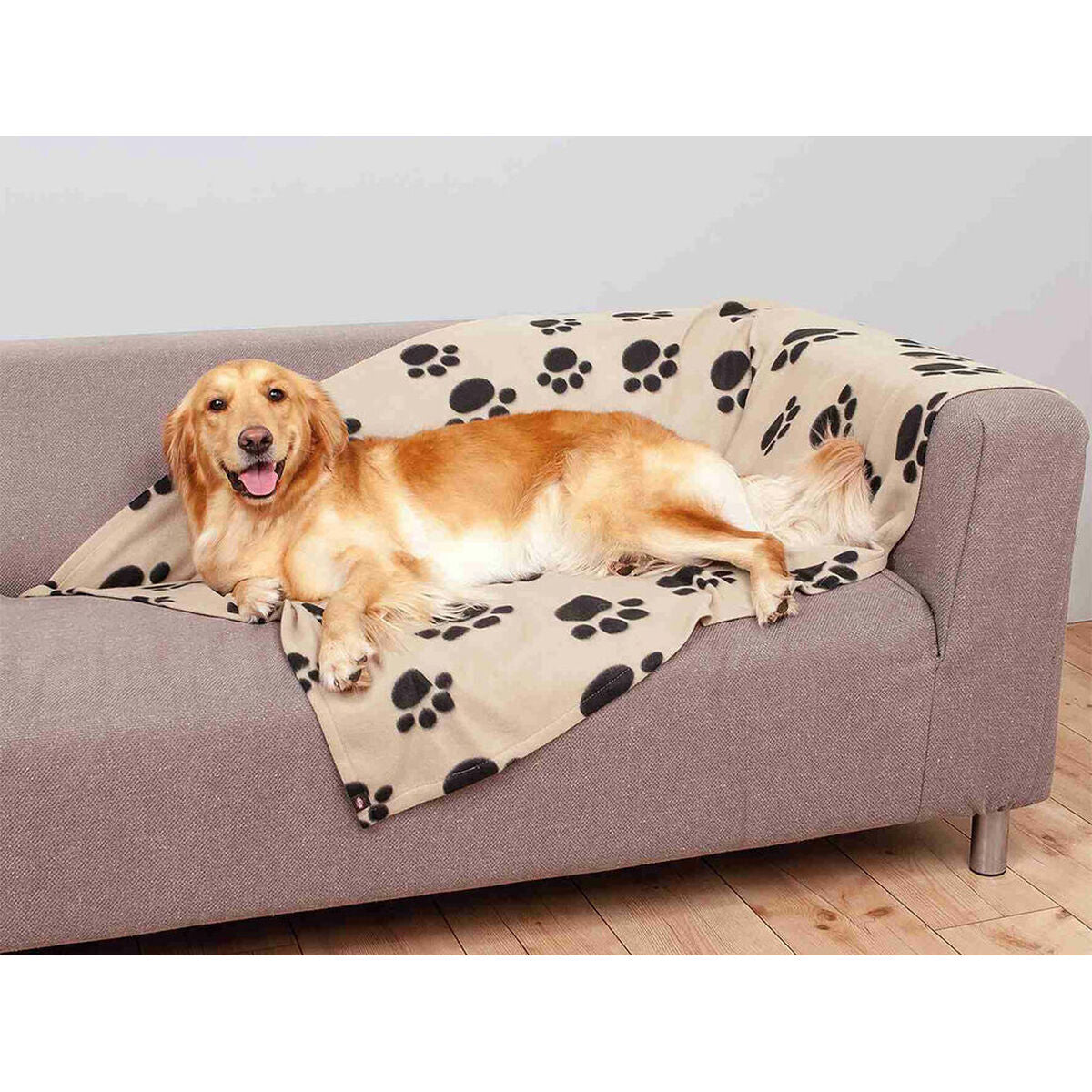 V5HEC1BACBC59D7E3FC1B25FA48EF21D64FR7440828P3