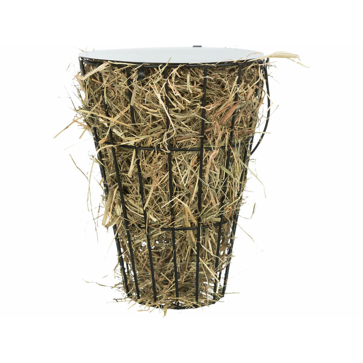 V6H6A650D84AE37BABBE9A3FF888A2DF90BR7452749P9