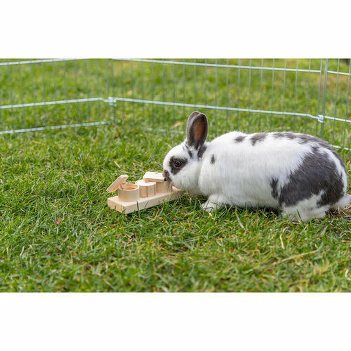 V5H95941C4526BA3699D57113363DCCD19FR7457619P4