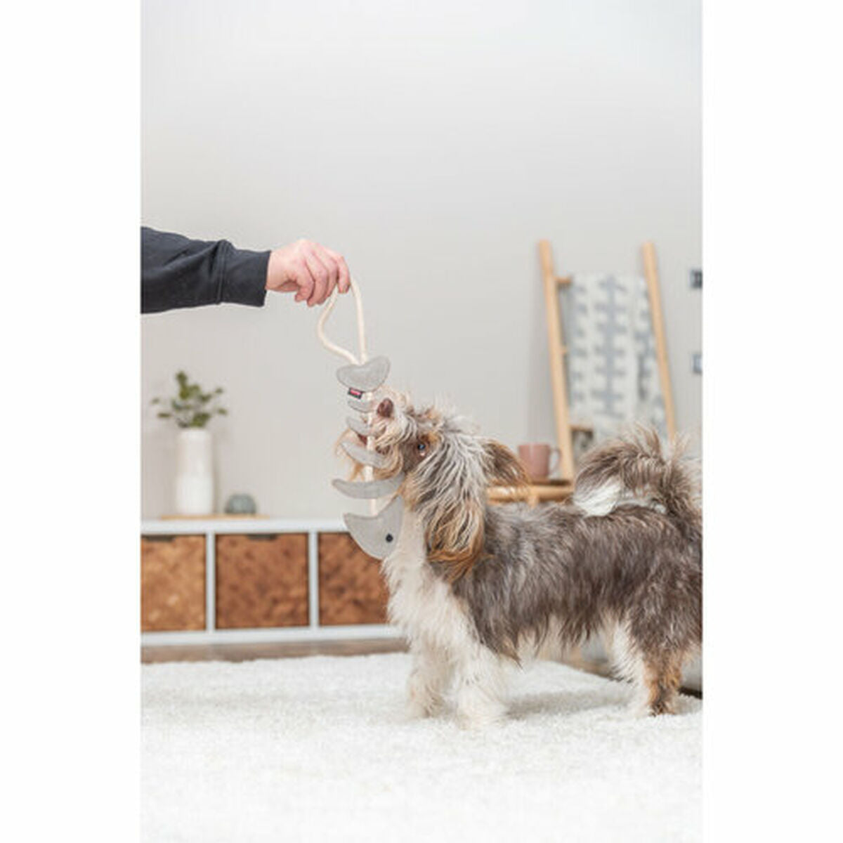 V3HCE8B048F4DADD9E78FE9B0C21A3F8D21R7463026P8