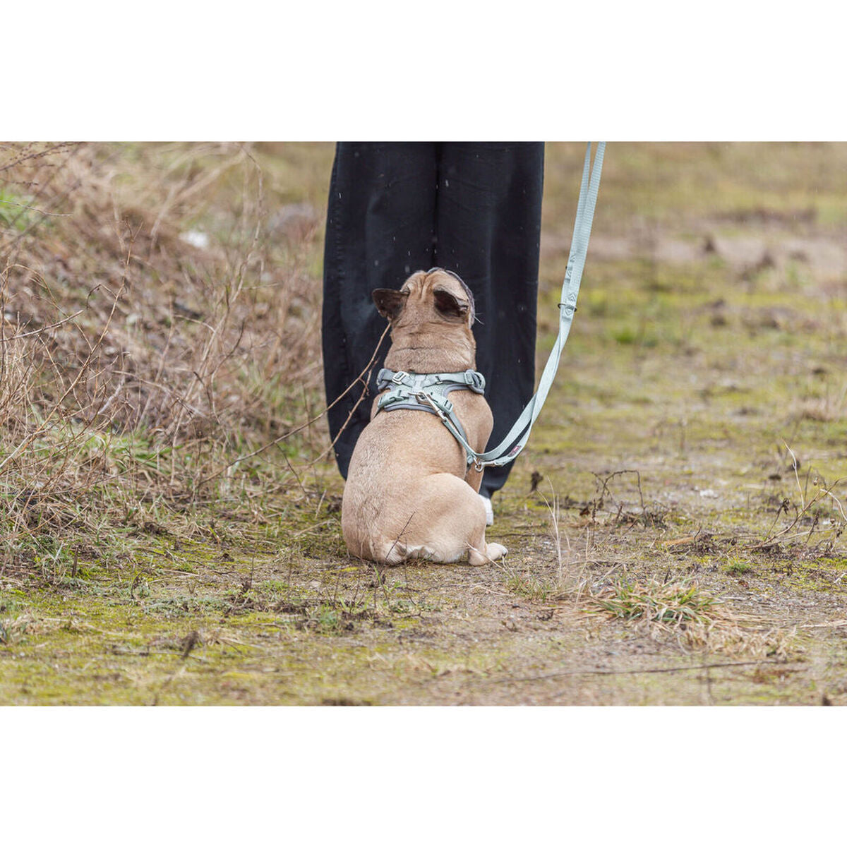 V3H96CF2CAF30FF0FC5463F52FBA9FF05B5R7463751P5