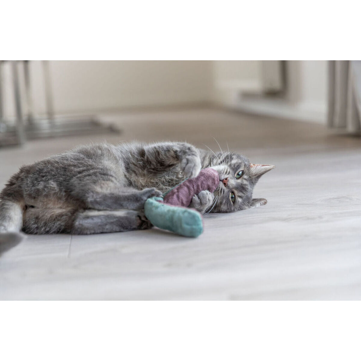 V3H815BB4234F7A4247C97548E05B398676R7462230P5