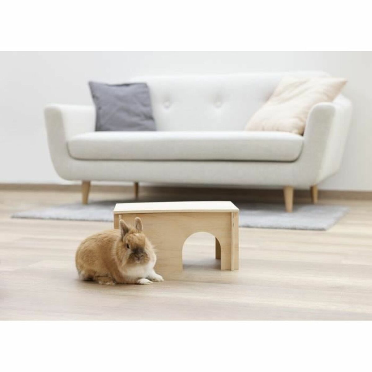 V9HA1485895CB91DA9F601ADB6F6F10F55BR6637544P3